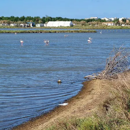Mobilhome Au Les Salins De La Gardiole Ex Europe Kamp alanı *