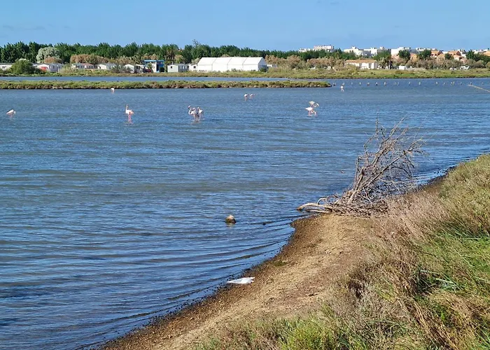 Mobilhome Au Les Salins De La Gardiole Ex Europe Кемпинг *